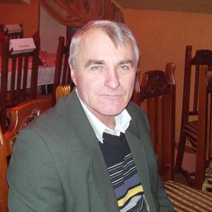 Boris, 66 лет, Волоколамск