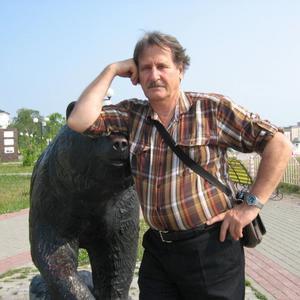 Александр, 69 лет, Сургут