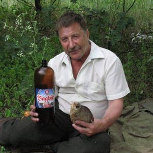 Сергей Григорьев, 71 год, Воронеж