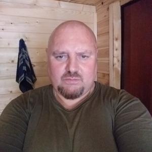 Николай, 53 года, Вологда