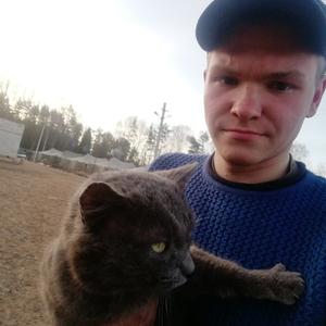 Владимир, 26 лет, Заполярный