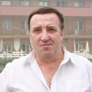 Владимир, 69 лет, Щелково
