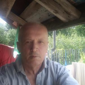 Мишель, 66 лет, Волоколамск