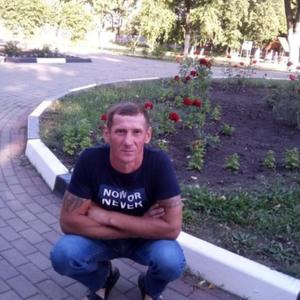 Парни в Губкине: Алексей, 38 - ищет девушку из Губкина