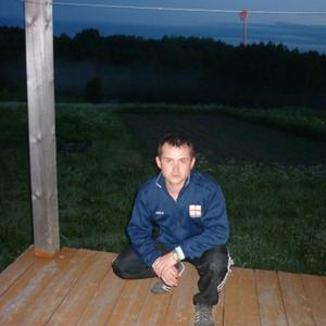 Алексей, 40 лет, Архангельск