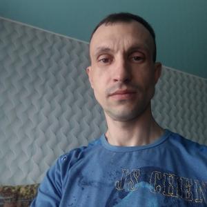 Александр, 43 года, Михнево