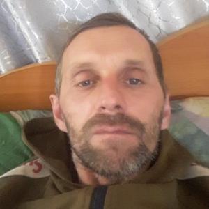 Сергей, 45 лет, Свободный
