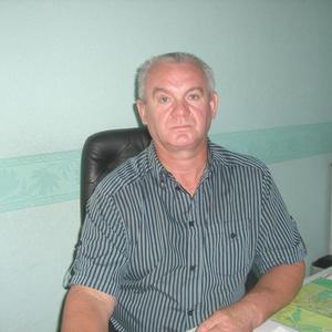 Николай Стадник, 68 лет, Соликамск