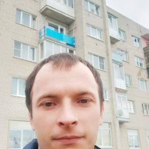 Дмитрий Серых, 34 года, Правдинск