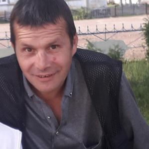 Владимир, 48 лет, Борзя