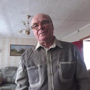 Николай, 72 года, Тюмень