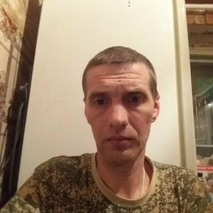 Дима, 43 года, Липецк