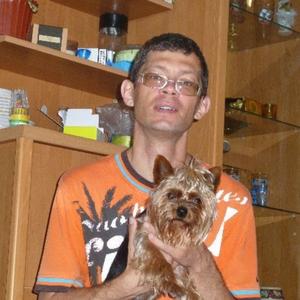 Парни в Дальнегорске: Андрей Чичюрка, 51 - ищет девушку из Дальнегорска