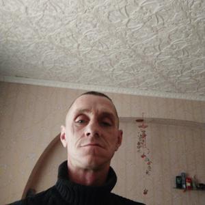 Евгений, 43 года, Клинцы