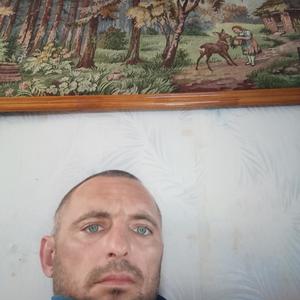Евгений, 39 лет, Коноково