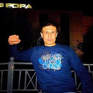 Sergey Novak, 29 лет, Воронеж