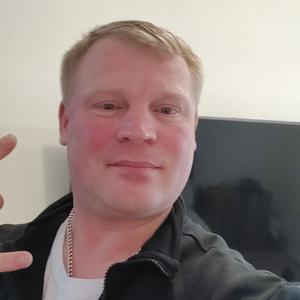 Сергей, 41 год, Янино