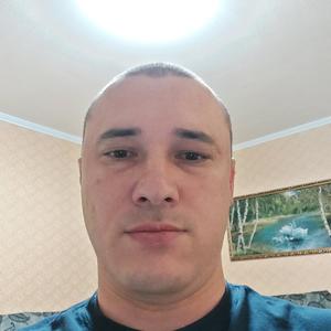 Александр, 39 лет, Красногорский