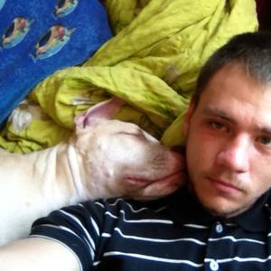 Сергей, 33 года, Череповец