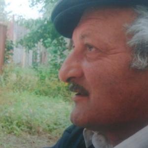 Овсеп, 71 год, Самара
