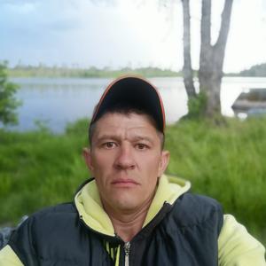Николай, 44 года, Выборг
