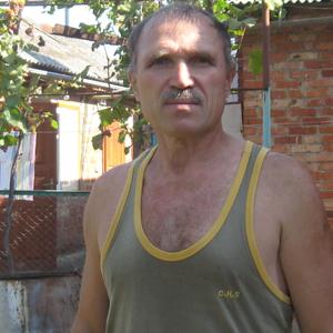Владимир, 67 лет, Усть-Лабинск