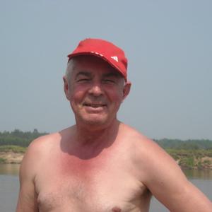 Николай, 67 лет, Дзержинск