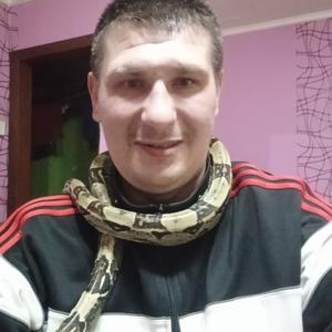 Igor, 37 лет, Ярославль