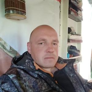 Вячеслав, 46 лет, Никель