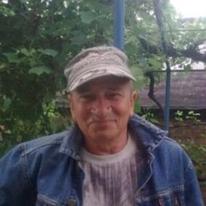 Валерий, 74 года, Ростов-на-Дону