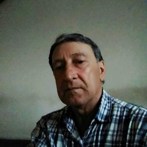 Александр, 69 лет, Димитровград
