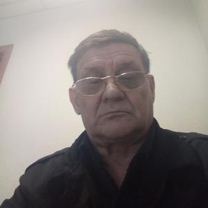 Геннадий, 68 лет, Новосибирск