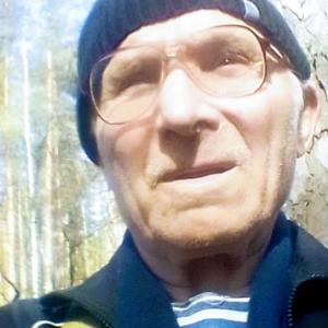 Юра, 58 лет, Луга