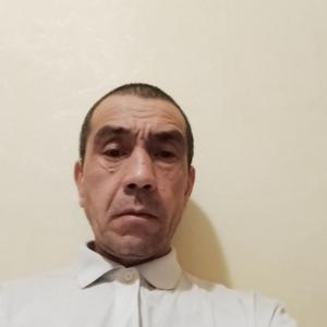 Анатолий, 55 лет, Воронеж