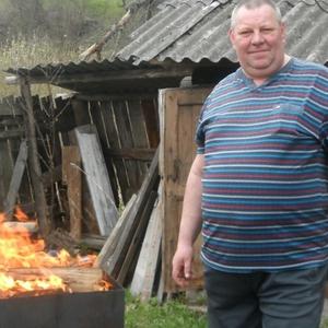 Александр Павлович, 60 лет, Нижний Новгород