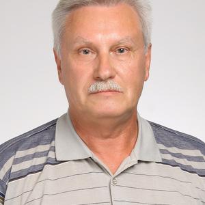 Владимир, 67 лет, Шебекино