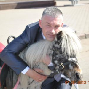 Парни в Химках: Алексей, 49 - ищет девушку из Химок