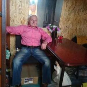 Александр Черкашин, 78 лет, Сочи