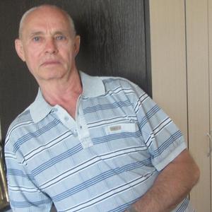 Николай   Веселков, 69 лет, Волжский