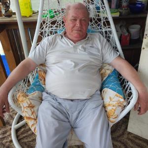 Сергей, 64 года, Калуга