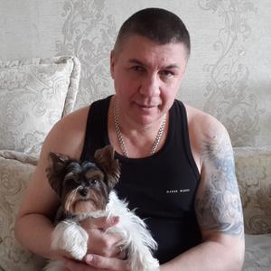 Владимир, 46 лет, Волгоград