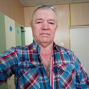 Наиль, 73 года, Екатеринбург