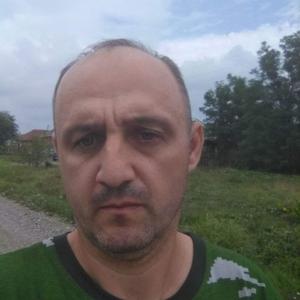 Анатолий, 43 года, Майкоп