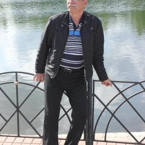 Алексей Домаленко, 67 лет, Псков