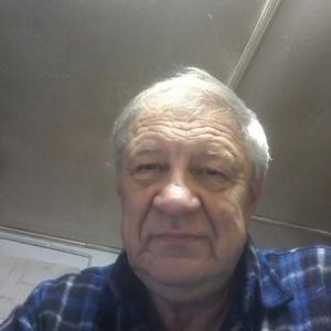 Александр Пархоменко, 69 лет, Находка