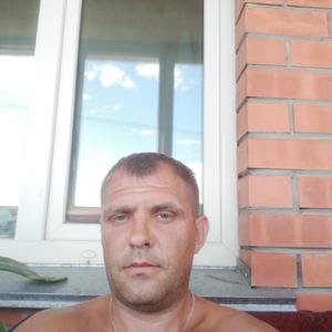 Артем, 44 года, Барнаул
