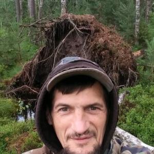 Mihail, 47 лет, Севск