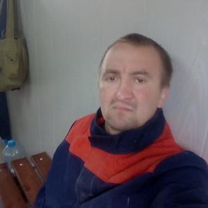 Игорь, 37 лет, Череповец