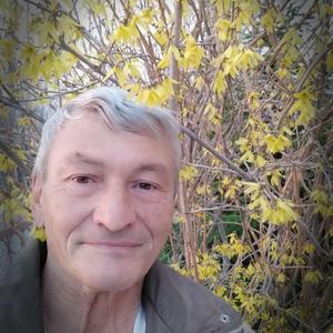 Дмитрий, 65 лет, Хабаровск