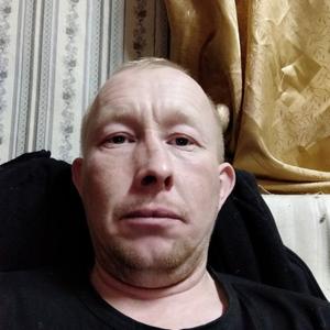 Стас Корепанов, 36 лет, Шаркан
